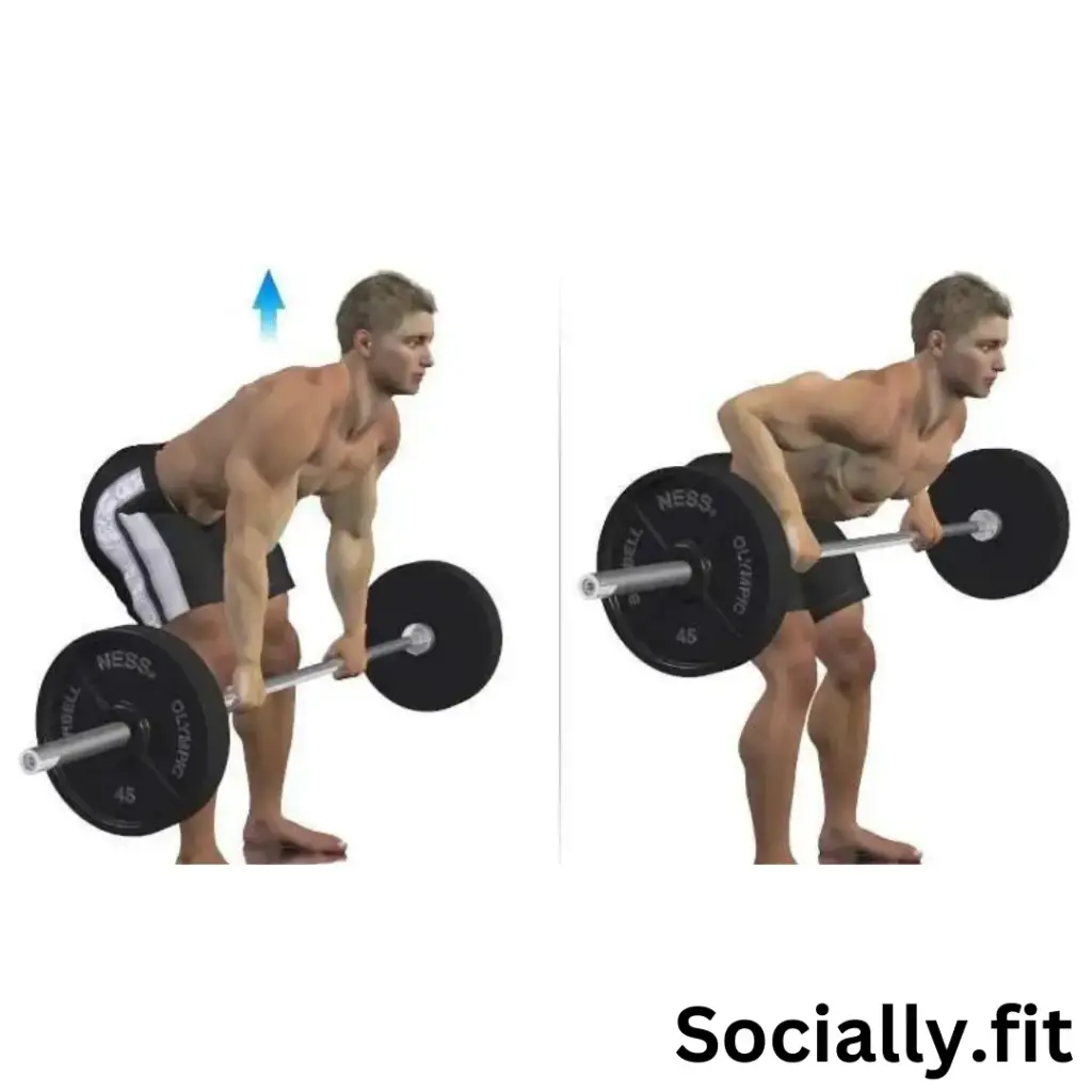 Bent over Rows - Scapular Retraction exercises