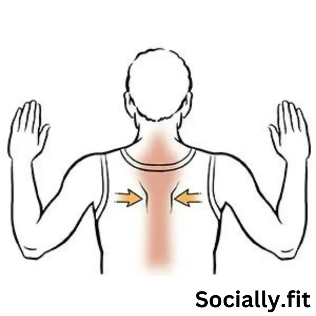 Shoulder Blade Squeezes - Scapular Retraction Exercises