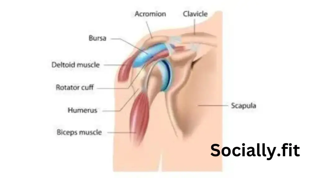 Shoulder Impingement Syndrome Exercises