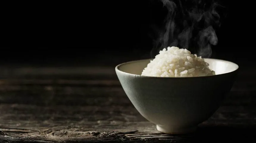 What is the Rice Hack Diet