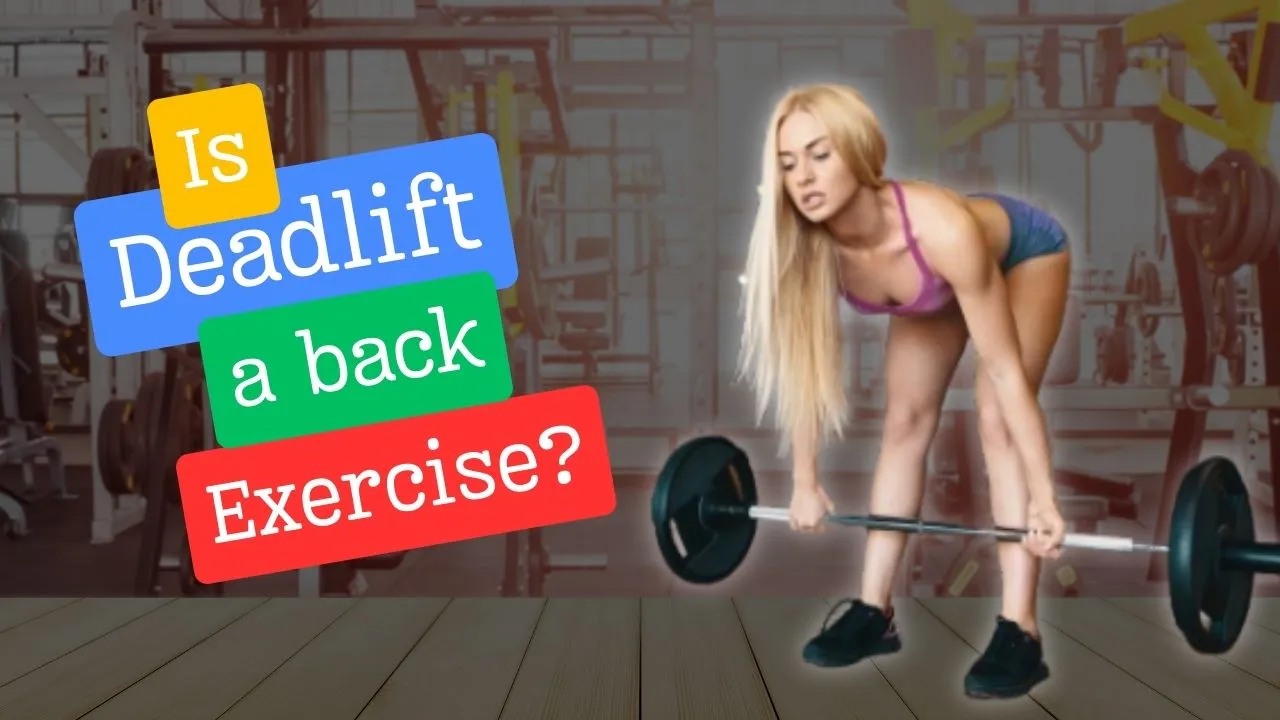 is Deadlift a back exercise