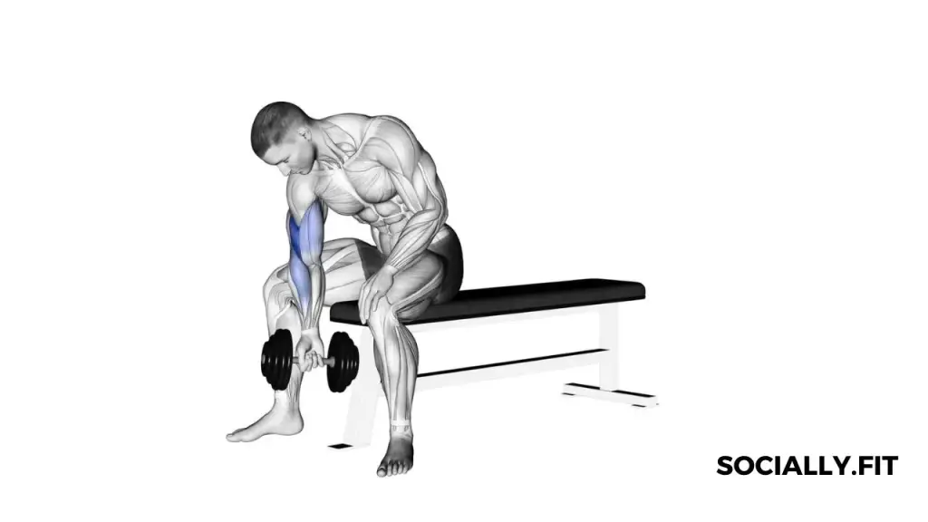 Bicep Tendonitis Exercises pdf