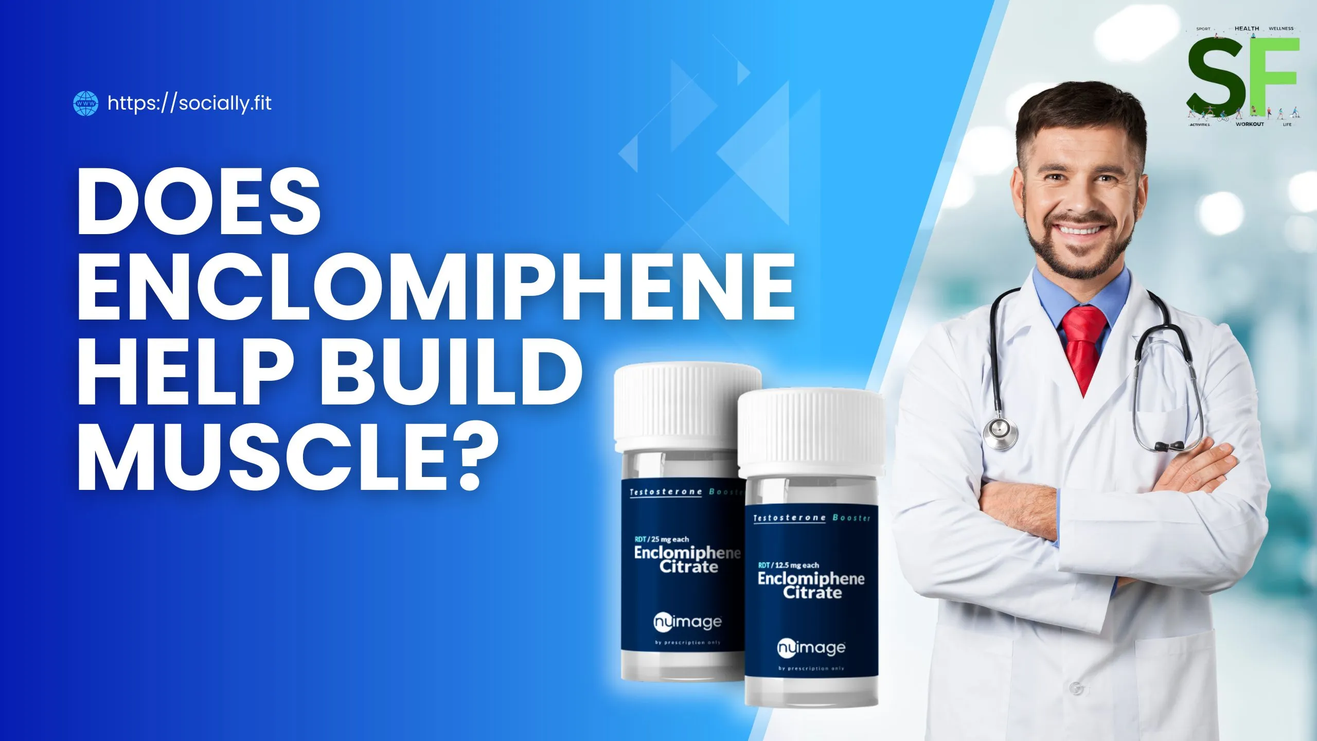 Does Enclomiphene Help Build muscle