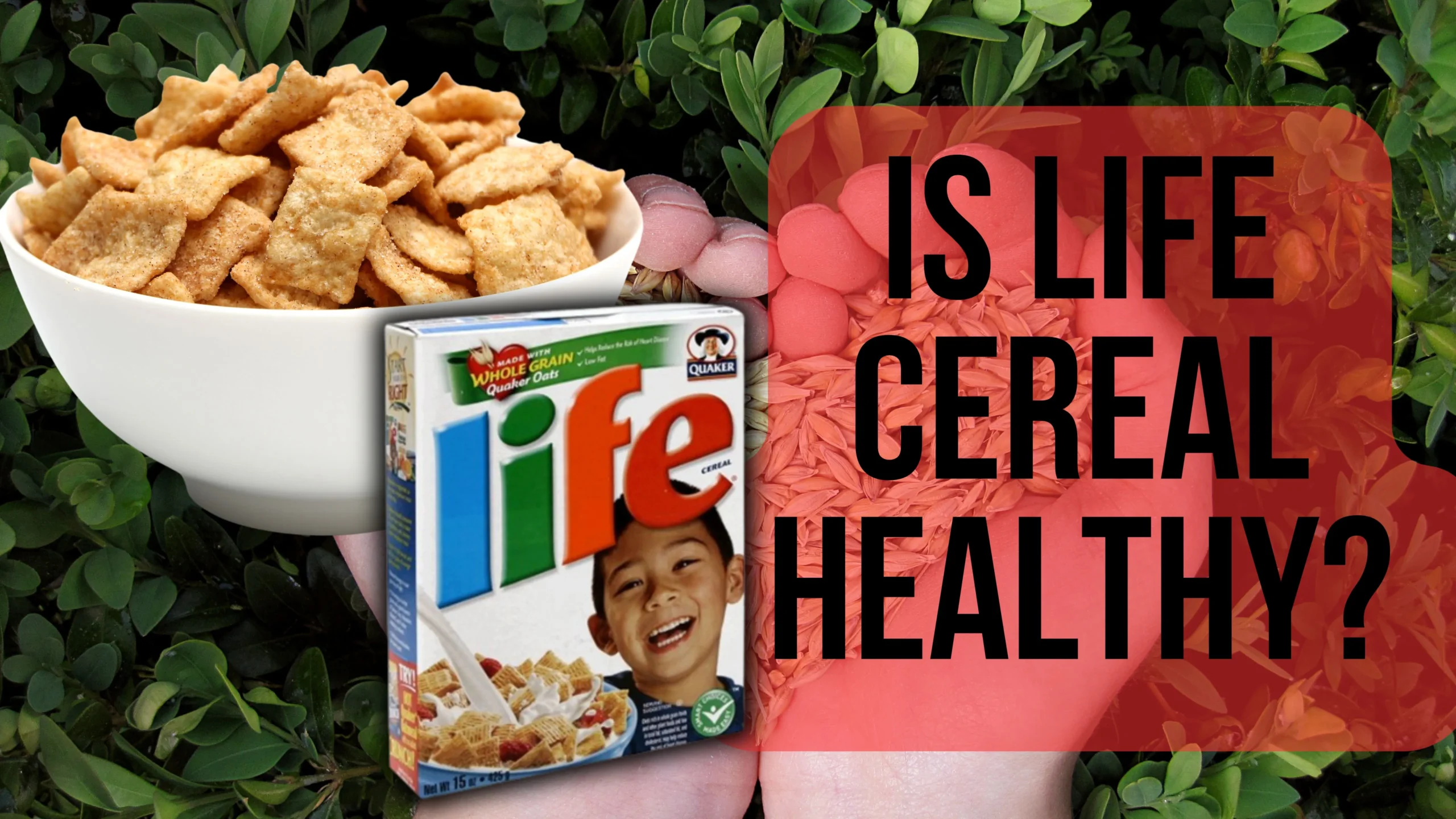 Is life cereal healthy - socially.fit