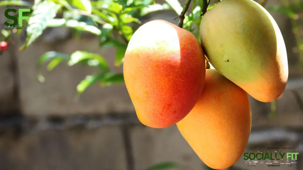 Is Mango Good for weight loss