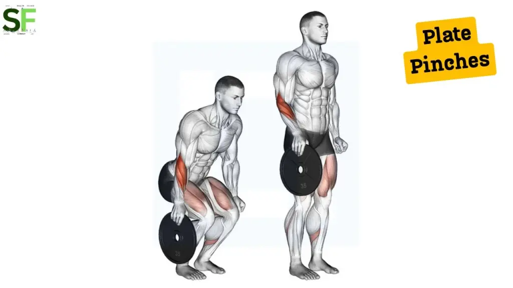 Plate Pinches - Best ways to improve Grip strength for better fitness - socially.fit